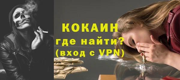 амф Бородино
