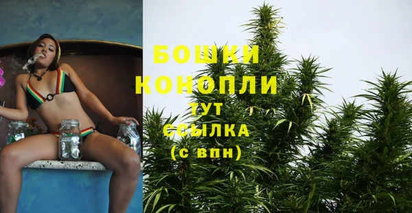 ALPHA PVP Верхний Тагил