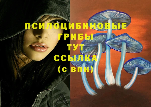 гашик Верхнеуральск