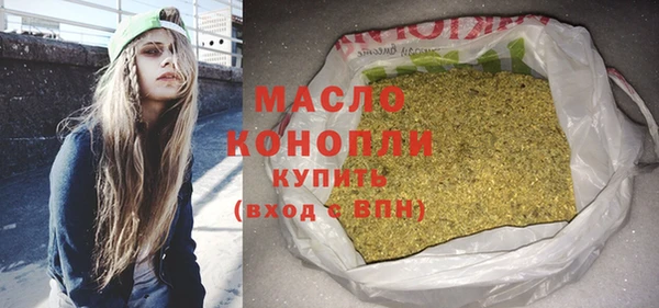 амф Бородино
