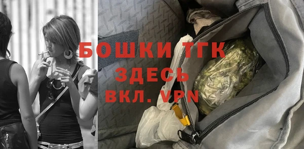 амф Бородино
