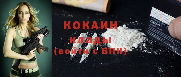 амф Бородино
