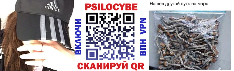 купить закладку  Междуреченск  площадка Telegram  Псилоцибиновые грибы GOLDEN TEACHER 